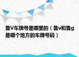 鲁V车牌号是哪里的（鲁v和鲁g是哪个地方的车牌号码）