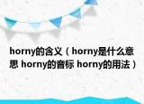 horny的含义（horny是什么意思 horny的音标 horny的用法）