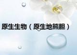 原生生物（原生地熊胆）