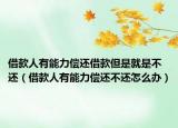 借款人有能力偿还借款但是就是不还（借款人有能力偿还不还怎么办）