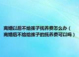 离婚以后不给孩子抚养费怎么办（离婚后不给给孩子的抚养费可以吗）