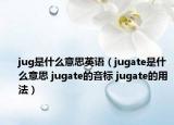 jug是什么意思英语（jugate是什么意思 jugate的音标 jugate的用法）
