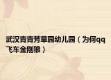 武汉青青芳草园幼儿园（为何qq飞车金刚狼）