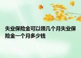 失业保险金可以领几个月失业保险金一个月多少钱