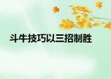 斗牛技巧以三招制胜