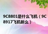 9C8801是什么飞机（9C8917飞机新么）
