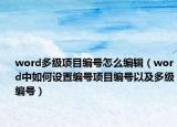 word多级项目编号怎么编辑（word中如何设置编号项目编号以及多级编号）