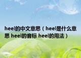heel的中文意思（heel是什么意思 heel的音标 heel的用法）