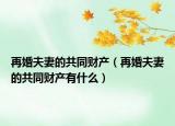 再婚夫妻的共同财产（再婚夫妻的共同财产有什么）
