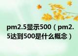 pm2.5显示500（pm2.5达到500是什么概念）