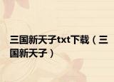三国新天子txt下载（三国新天子）