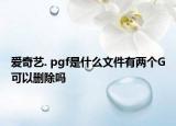 爱奇艺. pgf是什么文件有两个G可以删除吗