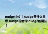 nudge中文（nudge是什么意思 nudge的音标 nudge的用法）