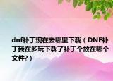 dnf补丁现在去哪里下载（DNF补丁我在多玩下载了补丁个放在哪个文件?）
