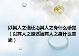 以其人之道还治其人之身什么感觉（以其人之道还治其人之身什么意思）