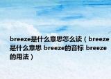 breeze是什么意思怎么读（breeze是什么意思 breeze的音标 breeze的用法）