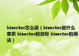 bisector怎么读（bisector是什么意思 bisector的音标 bisector的用法）