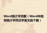 Word统计字符数（Word中如何统计字符汉字英文的个数）