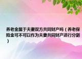 养老金属于夫妻双方共同财产吗（养老保险金可不可以作为夫妻共同财产进行分割）