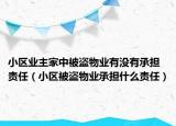 小区业主家中被盗物业有没有承担责任（小区被盗物业承担什么责任）