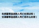 车祸肇事逃逸致人死亡处理过程（交通肇事逃逸致人死亡后怎么处理）