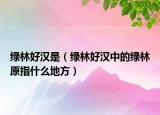绿林好汉是（绿林好汉中的绿林原指什么地方）