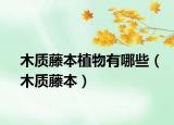 木质藤本植物有哪些（木质藤本）