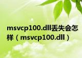msvcp100.dll丢失会怎样（msvcp100.dll）
