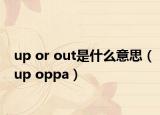 up or out是什么意思（up oppa）