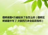 借呗逾期4万被起诉了会怎么样（借呗花呗逾期半年了,欠款四万多会起诉我吗）