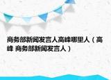 商务部新闻发言人高峰哪里人（高峰 商务部新闻发言人）