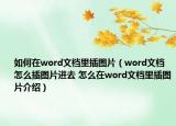 如何在word文档里插图片（word文档怎么插图片进去 怎么在word文档里插图片介绍）
