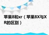 苹果8和xr（苹果8X与XR的区别）