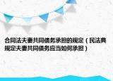 合同法夫妻共同债务承担的规定（民法典规定夫妻共同债务应当如何承担）