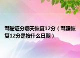 驾驶证分哪天恢复12分（驾照恢复12分是按什么日期）