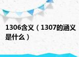 1306含义（1307的涵义是什么）