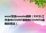 excel里面counta函数（EXCEL工作表中COUNT函数和COUNTA函数的用法）