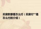 买房款都是怎么付（买房付**是怎么付的介绍）