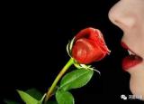 玫瑰花含义（玫瑰花语大全）