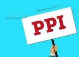 ppi是什么意思（PPI是什么和CPI有什么关系呢）