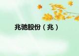 兆驰股份（兆）