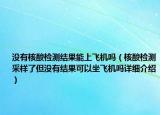 没有核酸检测结果能上飞机吗（核酸检测采样了但没有结果可以坐飞机吗详细介绍）