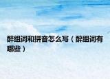 醉组词和拼音怎么写（醉组词有哪些）