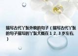 描写古代丫鬟外貌的句子（描写古代丫鬟的句子描写的丫鬟大概在１２,３岁左右,）