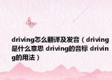 driving怎么翻译及发音（driving是什么意思 driving的音标 driving的用法）