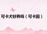 可卡犬好养吗（可卡因）