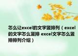 怎么让excel的文字竖排列（excel的文字怎么竖排 excel文字怎么竖排排列介绍）