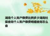 湖南个人账户缴费比例多少湖南社保查询个人账户缴费明细查询怎么查