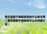 春天皮肤干燥起皮是缺什么维生素（春天皮肤干燥起皮怎么办详细介绍）
