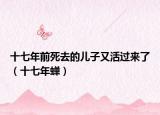 十七年前死去的儿子又活过来了（十七年蝉）